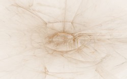 2014 05 11 Counting the Cost 049-white.jpg